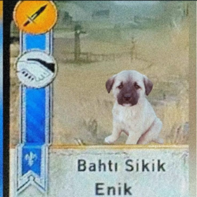 komşuenik