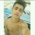 Ali431683