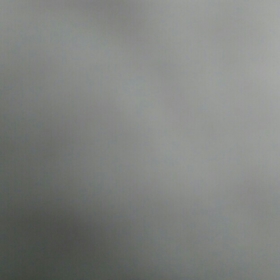 Oral8001