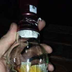 Boragokk