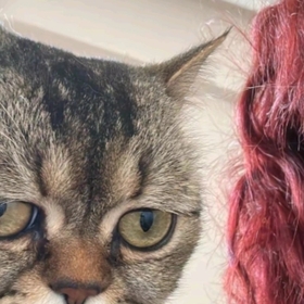 zeyzeymiss