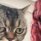zeyzeymiss
