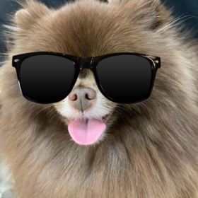 yeahrakinroll