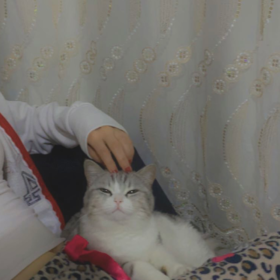 elmaküpelikız