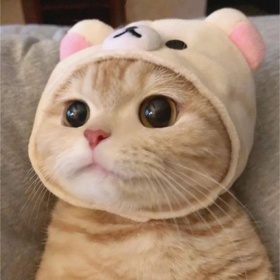rosiearerosie