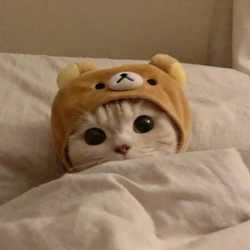 BöğürtlenReçelim