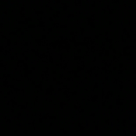 pel2307