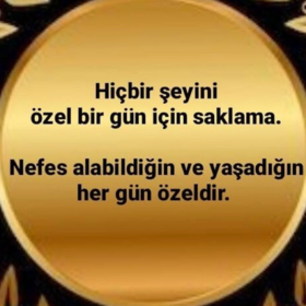 Desman63