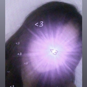 gulayy_n
