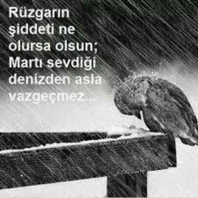 seyit34Ahmet