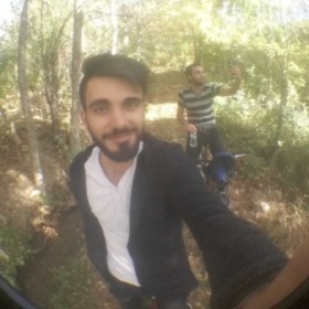 Halitfratt