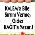 cınar8001