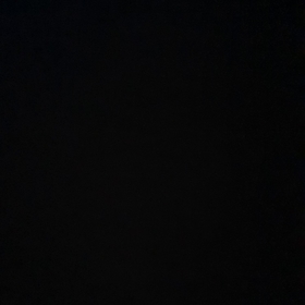 yaprak_kalkan