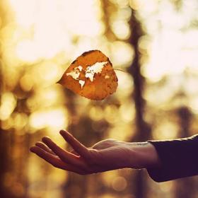 euphoria__