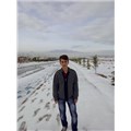 mrsinli