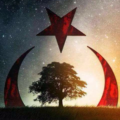 dalgalı07