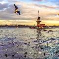çocuksukalp