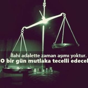 mehmetgn