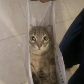 melisaişbaşında