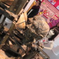 hansolosan