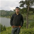 kral0537
