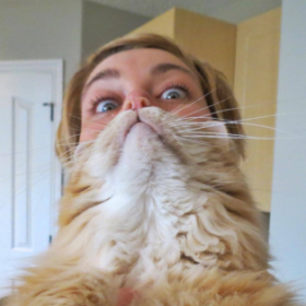 üstkat
