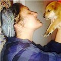 xmai_tere