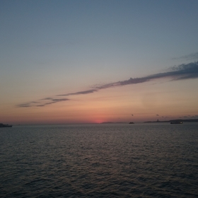 Ysfens19