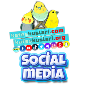 KafesKuslariCom