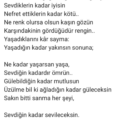 BahtsızBaron