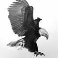 black88