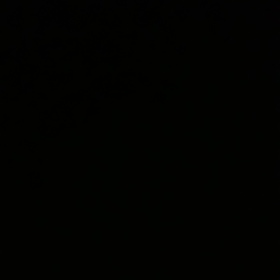 Eylul1245