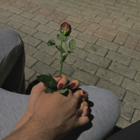 user010837292