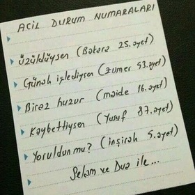 İlay29
