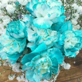 bluelove7
