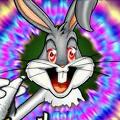 extacyyyy