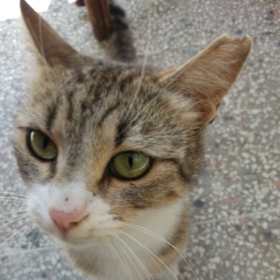 suçlu7