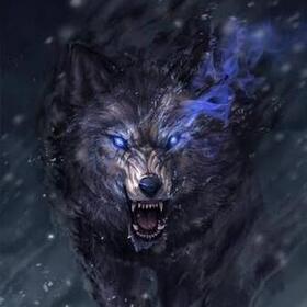 Darskan66