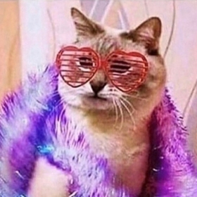 CatTDQ