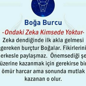 zamaneli1