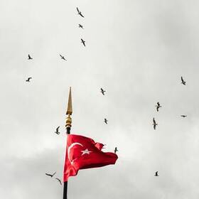 AliOzcann