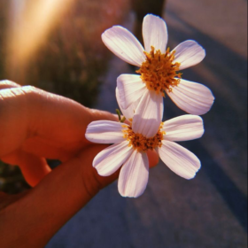 melikeaksk