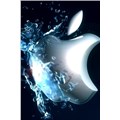 Apple-WinTeknikS