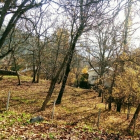 Denizyrs