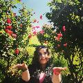 mimarice-dilara