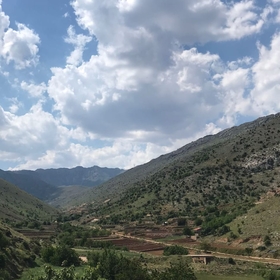 melekksenaa