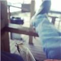 arbıdumsmoke