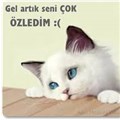 inciciyim
