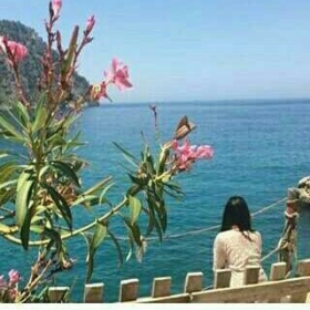 yağ___mur