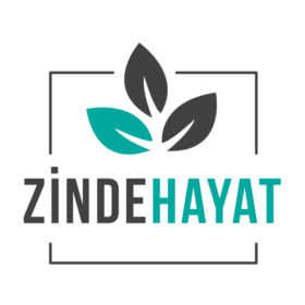 wwwZindeHayatCom